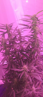 Изображение 29.04.2025 1837.png