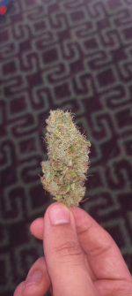 Изображение 29.04.2025 1837 (7).png