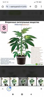 Screenshot_2025-09-25-12-17-46-297_com.android.chrome.jpg