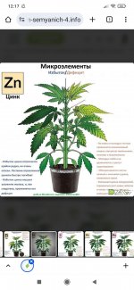 Screenshot_2025-09-25-12-17-43-132_com.android.chrome.jpg