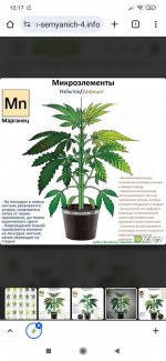 Screenshot_2025-09-25-12-17-34-949_com.android.chrome.jpg