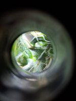 20260612_163406.jpg