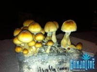 IMG_23641.JPG