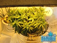 IMG_0773.JPG
