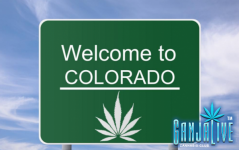 Welcome-to-Colorado-Marijuana-Green-Rush-750x471.png