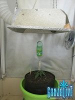 IMG_3947.JPG IMG_3947.JPG