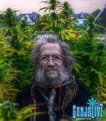 вр.PNG вр.PNG