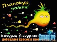 накрыло-4.jpg
