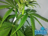XuptIx7rc6A.jpg