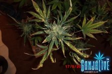 CIMG1374.JPG