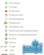 Паспорт.jpg