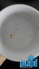 IMG_20140428_144051.jpg
