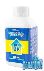PH up.jpg
