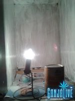 2014-03-22 02.46.49.jpg