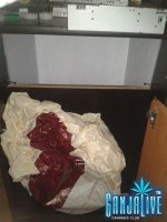 2014-04-14 14.00.18.jpg