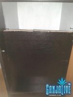 2014-04-14 14.02.23.jpg