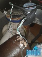 2014-03-30 01.35.33.jpg