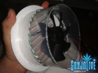 2014-04-17 00.08.35.jpg