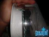 2014-04-17 00.08.48.jpg