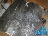 2014-04-20 12.34.21.jpg