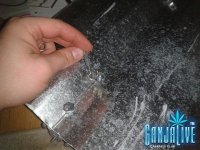 2014-04-20 12.34.37.jpg