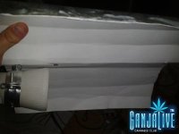 2014-04-20 12.34.49.jpg