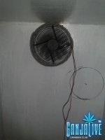 2014-04-19 11.59.48.jpg