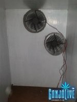 2014-04-19 12.28.12.jpg