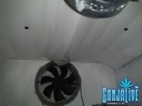 2014-04-21 01.20.51.jpg