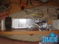 2014-04-21 12.20.18.jpg