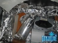 2014-04-24 12.11.43.jpg