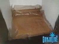 2014-04-24 12.17.31.jpg