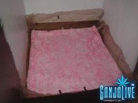 2014-04-24 12.35.14.jpg