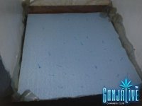 2014-04-24 12.46.30.jpg