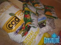 2014-05-09 01.55.31.jpg