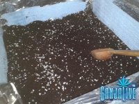 2014-05-09 02.01.30.jpg