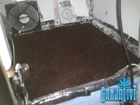 2014-05-09 02.16.47.jpg