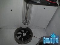 2014-05-09 01.53.27.jpg