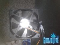 2014-05-19 19.47.07.jpg