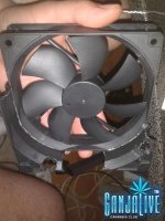 2014-05-24 01.24.11.jpg