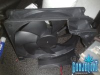 2014-05-24 01.24.23.jpg