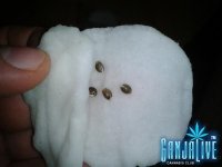 2014-05-12 00.44.07.jpg