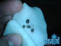 2014-05-12 00.45.19.jpg