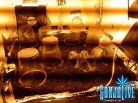 2014-05-12 01.08.55.jpg