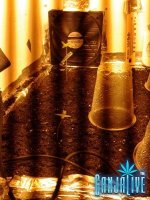 2014-05-17 19.06.54.jpg