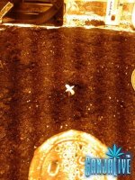 2014-05-17 19.07.08.jpg