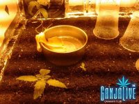 2014-05-23 02.47.29.jpg