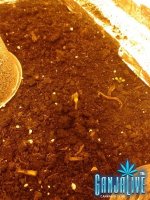 2014-05-23 02.48.12.jpg