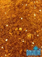 2014-05-23 02.48.35.jpg