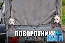 _I-S04o485c.jpg